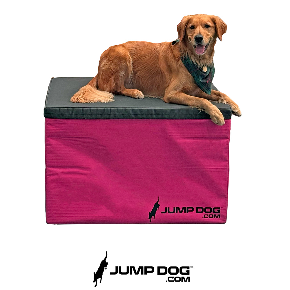 Jump Dog - Jump Training Agility Box - 24" H