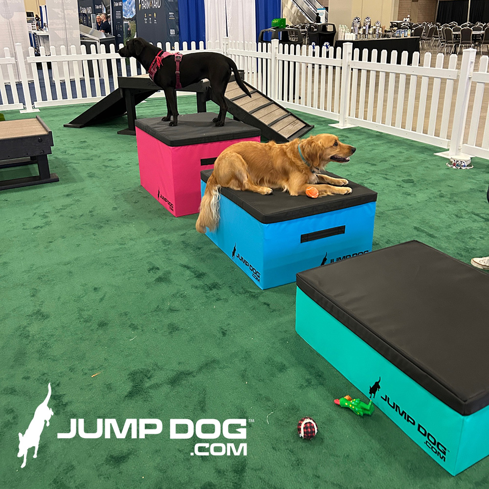 Jump Dog - Jump Training Agility Box - 24" H - Image 20