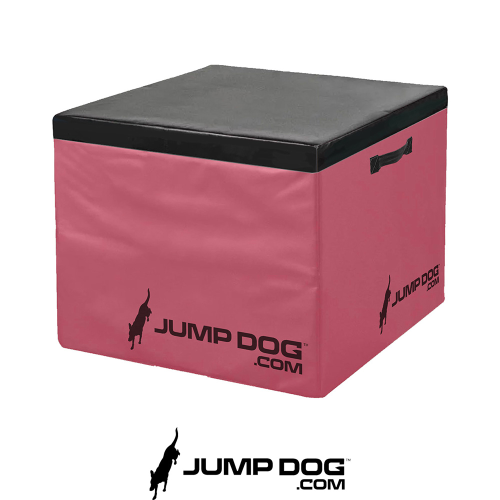 Jump Dog - Jump Training Agility Box - 24" H - Image 2