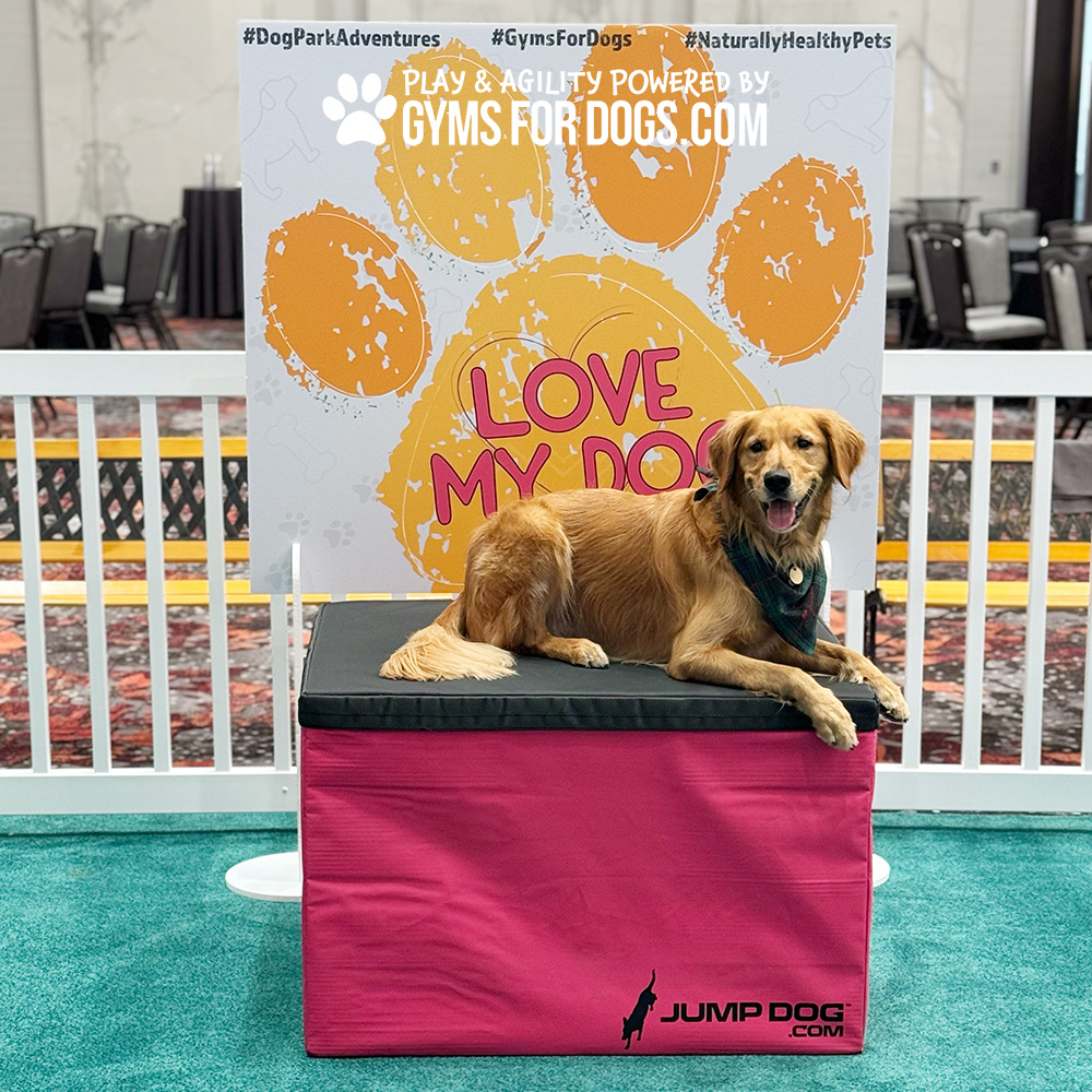 Jump Dog - Jump Training Agility Box - 24" H - Image 17