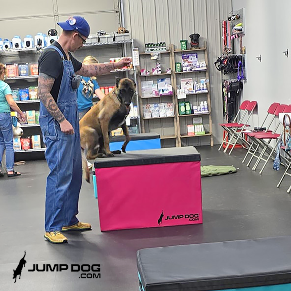 Jump Dog - Jump Training Agility Box - 24" H - Image 11